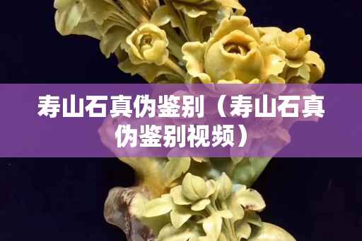 壽山石真偽鑒別（壽山石真偽鑒別視頻）
