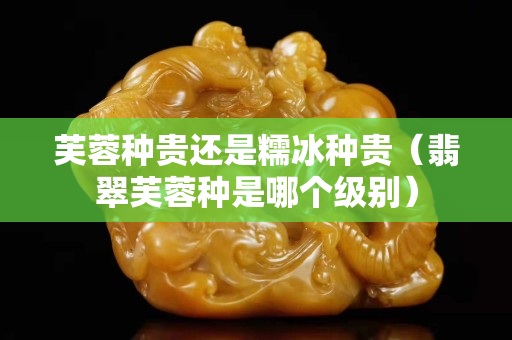 芙蓉種貴還是糯冰種貴（翡翠芙蓉種是哪個級別）
