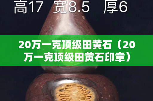 20萬一克頂級田黃石（20萬一克頂級田黃石印章）