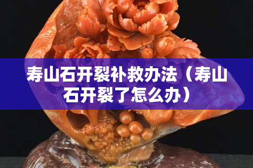 壽山石開裂補救辦法（壽山石開裂了怎么辦）