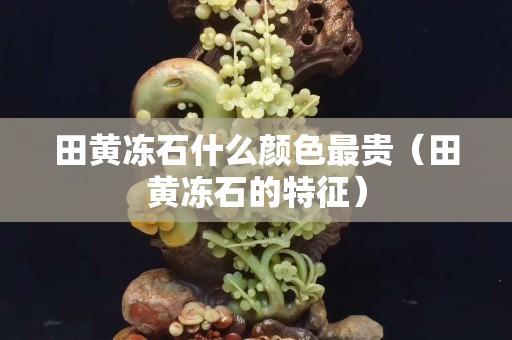 田黃凍石什么顏色最貴（田黃凍石的特征）
