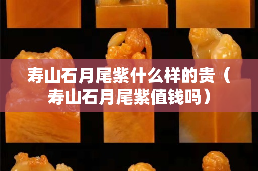 壽山石月尾紫什么樣的貴（壽山石月尾紫值錢嗎）