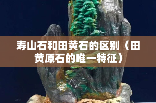 壽山石和田黃石的區(qū)別（田黃原石的唯一特征）