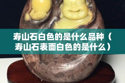 壽山石白色的是什么品種（壽山石表面白色的是什么）