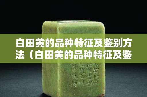 白田黃的品種特征及鑒別方法（白田黃的品種特征及鑒別方法）