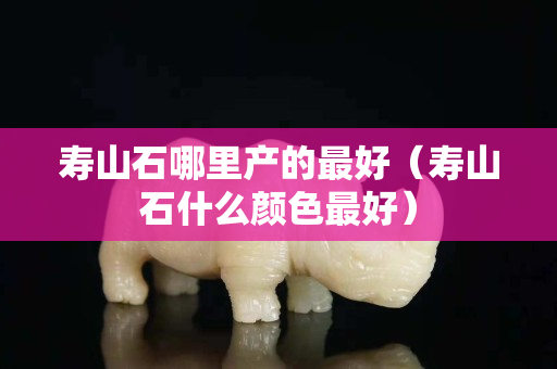 壽山石哪里產(chǎn)的最好（壽山石什么顏色最好）