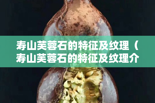 壽山芙蓉石的特征及紋理（壽山芙蓉石的特征及紋理介紹）