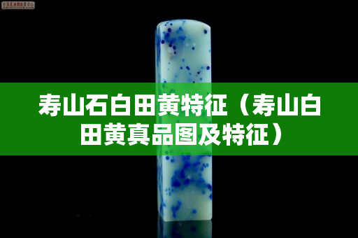 壽山石白田黃特征（壽山白田黃真品圖及特征）