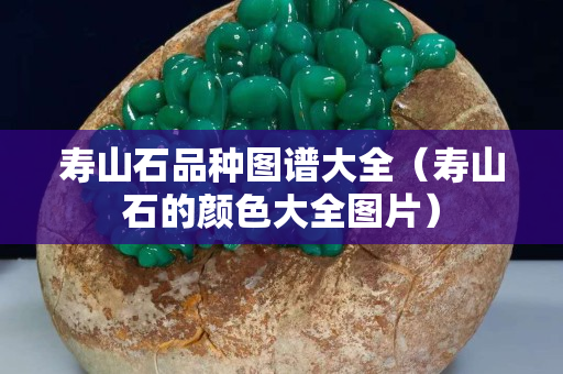 壽山石品種圖譜大全（壽山石的顏色大全圖片）