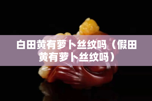 白田黃有蘿卜絲紋嗎（假田黃有蘿卜絲紋嗎）