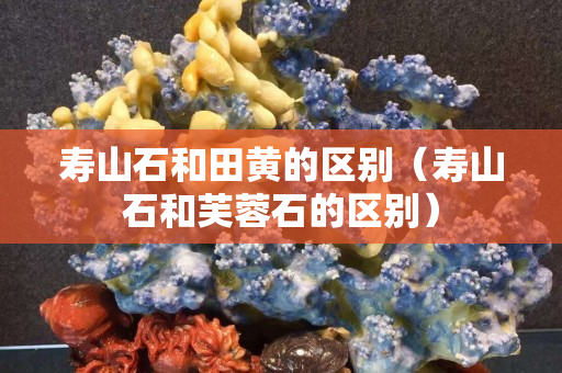 壽山石和田黃的區別（壽山石和芙蓉石的區別）