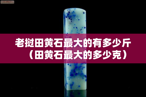 老撾田黃石最大的有多少斤（田黃石最大的多少克）