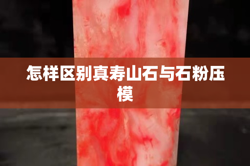 怎樣區別真壽山石與石粉壓模