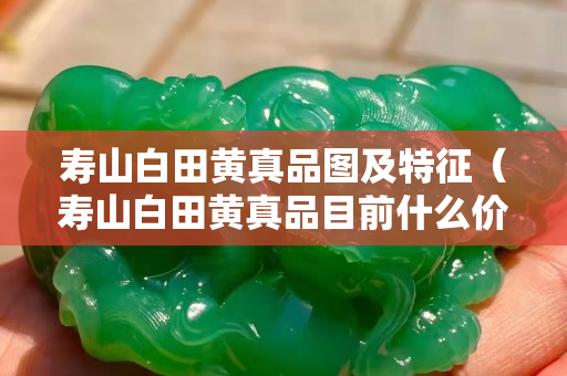 壽山白田黃真品圖及特征（壽山白田黃真品目前什么價）