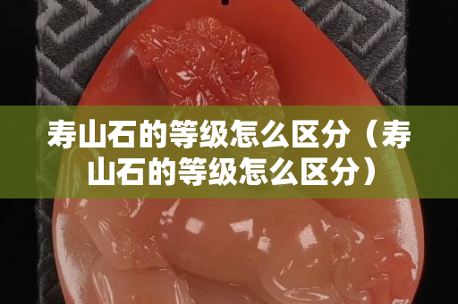壽山石的等級怎么區分（壽山石的等級怎么區分）