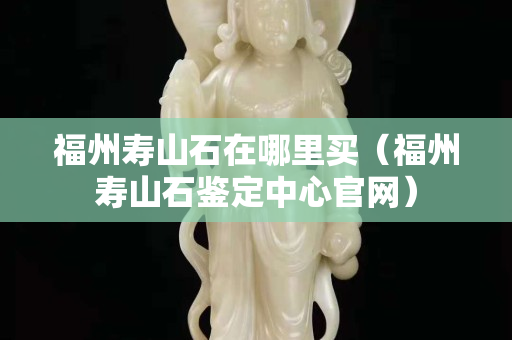 福州壽山石在哪里買（福州壽山石鑒定中心官網）