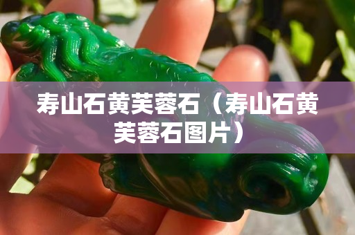 壽山石黃芙蓉石（壽山石黃芙蓉石圖片）