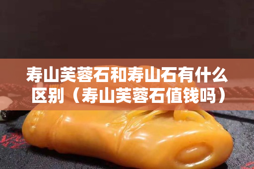 壽山芙蓉石和壽山石有什么區(qū)別（壽山芙蓉石值錢(qián)嗎）