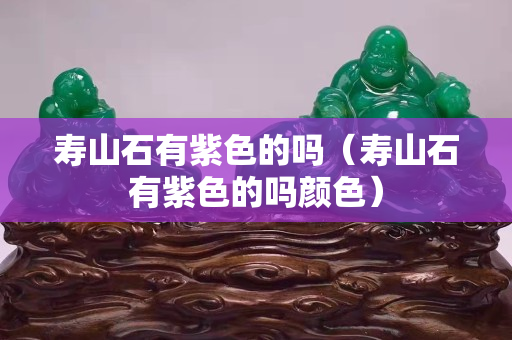 壽山石有紫色的嗎（壽山石有紫色的嗎顏色）