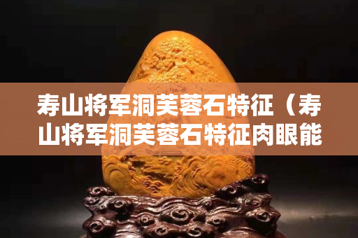 壽山將軍洞芙蓉石特征（壽山將軍洞芙蓉石特征肉眼能看見嗎）