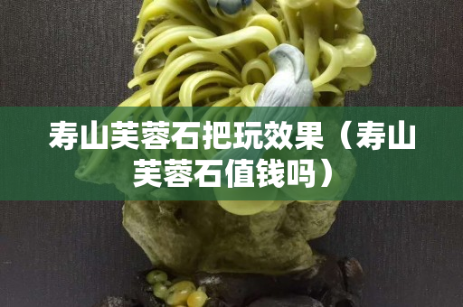 壽山芙蓉石把玩效果（壽山芙蓉石值錢嗎）