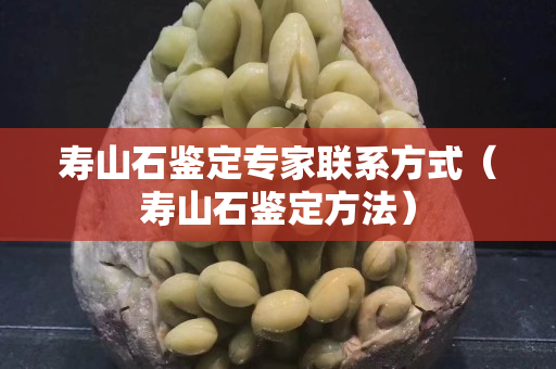 壽山石鑒定專(zhuān)家聯(lián)系方式（壽山石鑒定方法）
