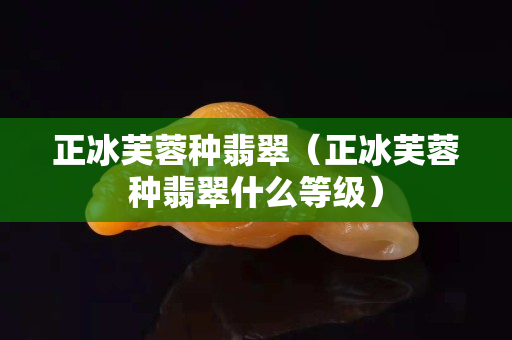 正冰芙蓉種翡翠（正冰芙蓉種翡翠什么等級）