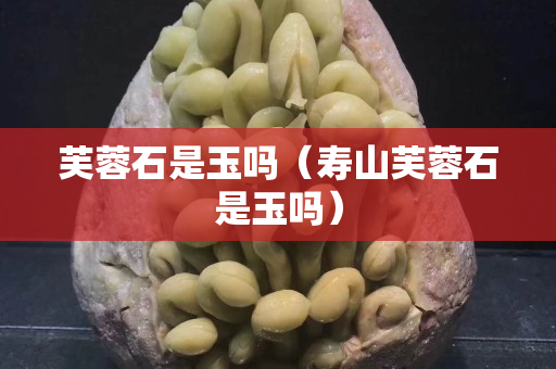 芙蓉石是玉嗎（壽山芙蓉石是玉嗎）