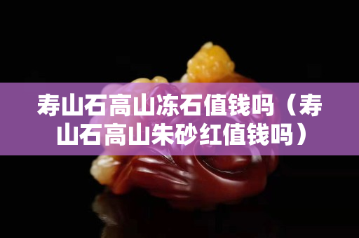 壽山石高山凍石值錢(qián)嗎（壽山石高山朱砂紅值錢(qián)嗎）
