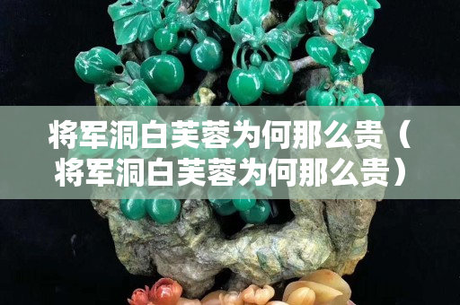 將軍洞白芙蓉為何那么貴（將軍洞白芙蓉為何那么貴）