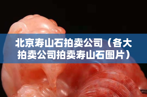 北京壽山石拍賣公司（各大拍賣公司拍賣壽山石圖片）