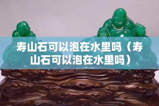 壽山石可以泡在水里嗎（壽山石可以泡在水里嗎）
