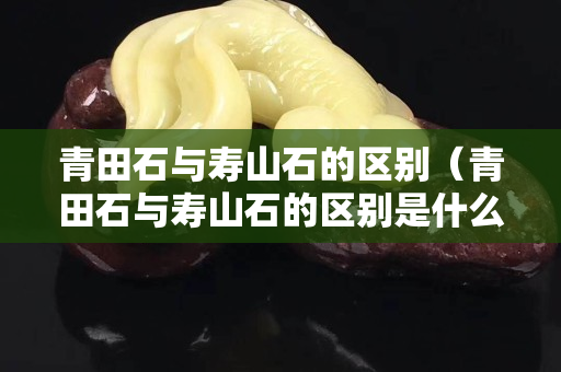 青田石與壽山石的區別（青田石與壽山石的區別是什么）