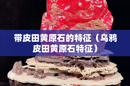 帶皮田黃原石的特征（烏鴉皮田黃原石特征）