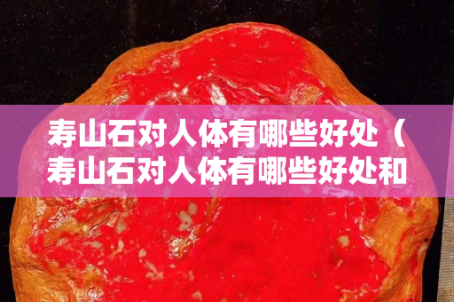 壽山石對人體有哪些好處（壽山石對人體有哪些好處和壞處）