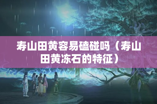 壽山田黃容易磕碰嗎（壽山田黃凍石的特征）