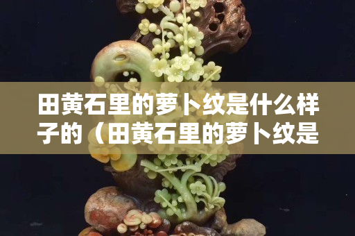 田黃石里的蘿卜紋是什么樣子的（田黃石里的蘿卜紋是什么樣子的）