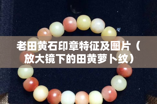 老田黃石印章特征及圖片（放大鏡下的田黃蘿卜紋）