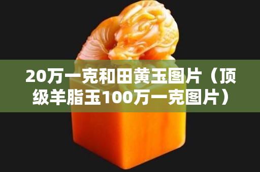 20萬一克和田黃玉圖片（頂級羊脂玉100萬一克圖片）