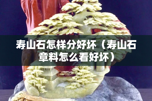 壽山石怎樣分好壞（壽山石章料怎么看好壞）