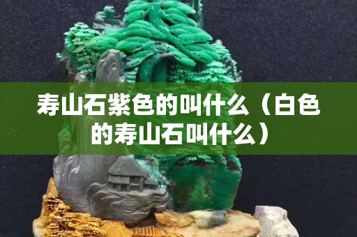 壽山石紫色的叫什么（白色的壽山石叫什么）