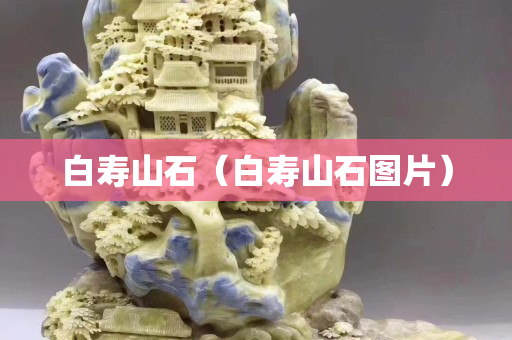 白壽山石（白壽山石圖片）
