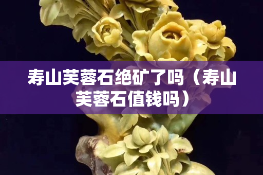 壽山芙蓉石絕礦了嗎（壽山芙蓉石值錢嗎）