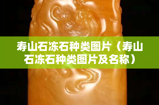 壽山石凍石種類圖片（壽山石凍石種類圖片及名稱）