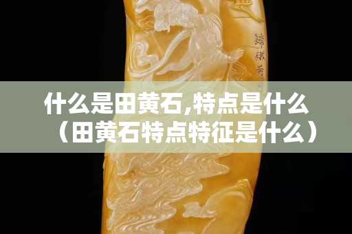 什么是田黃石,特點是什么（田黃石特點特征是什么）