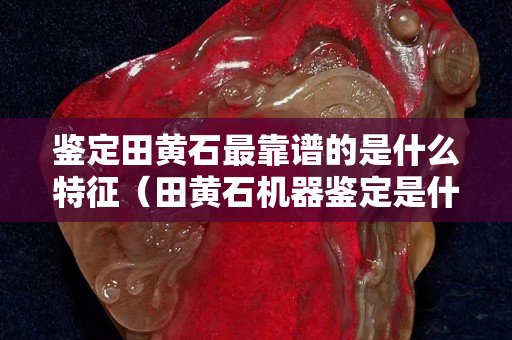 鑒定田黃石最靠譜的是什么特征（田黃石機器鑒定是什么）