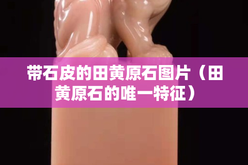 帶石皮的田黃原石圖片（田黃原石的唯一特征）