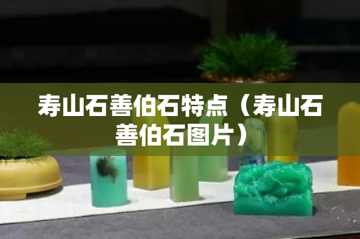 壽山石善伯石特點（壽山石善伯石圖片）
