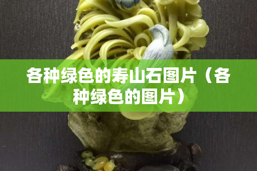 各種綠色的壽山石圖片（各種綠色的圖片）