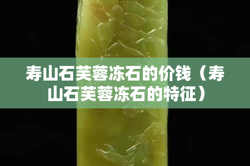 壽山石芙蓉凍石的價錢（壽山石芙蓉凍石的特征）